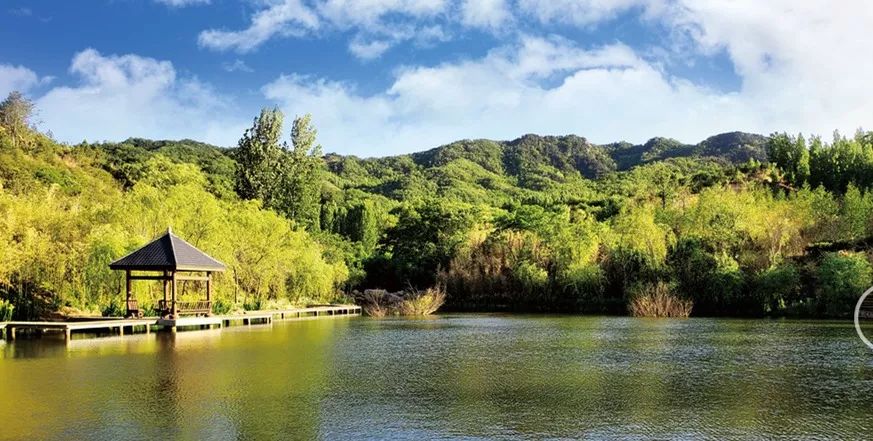 日本特惠旅游2月,日本旅游免费吗
