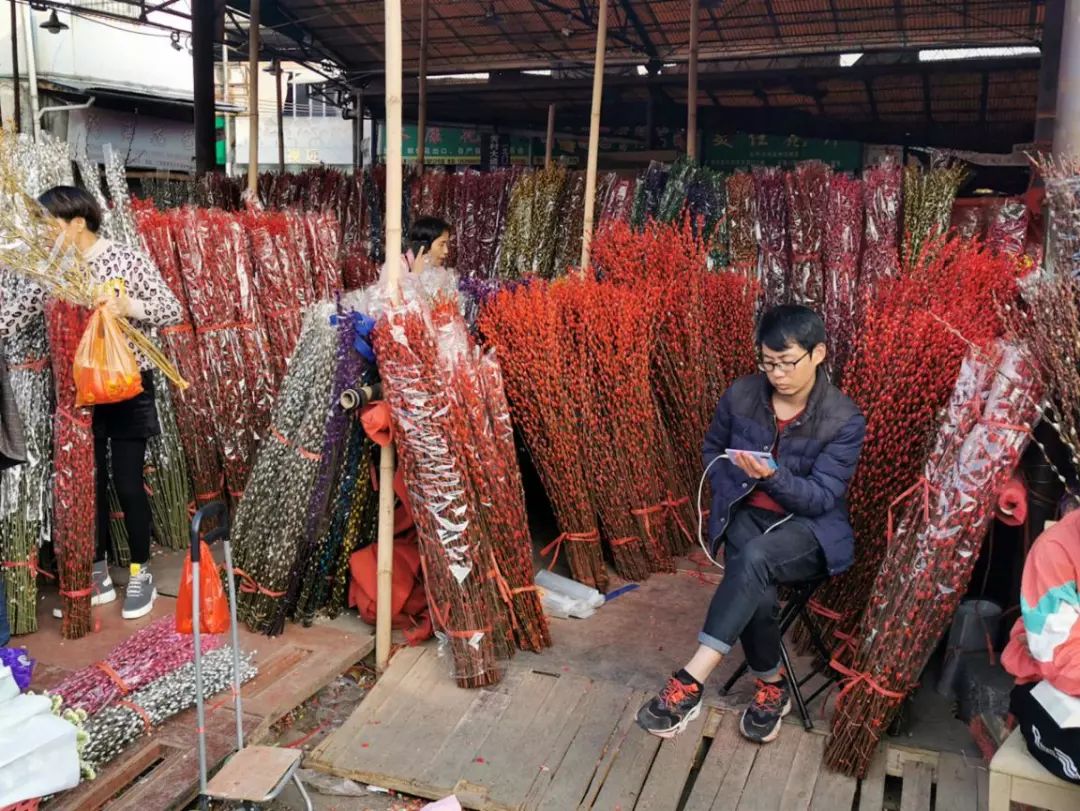 年花开始升价啦！岭南花卉市场购花攻略快收好