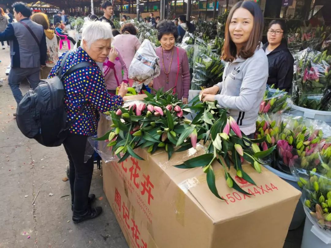 年花开始升价啦！岭南花卉市场购花攻略快收好