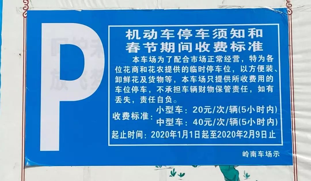 年花开始升价啦！岭南花卉市场购花攻略快收好