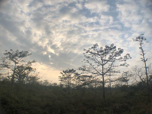 南亚国家旅行,南亚环球旅行