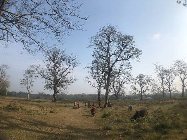 南亚国家旅行,南亚环球旅行