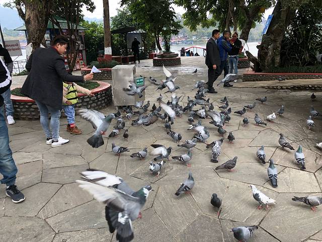 南亚国家旅行,南亚环球旅行