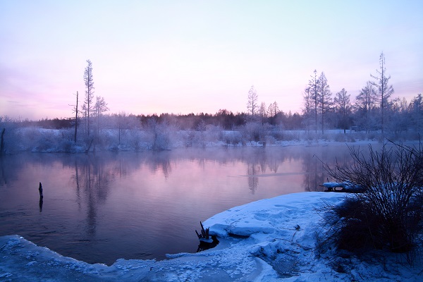 夜上海行,夜上海走过咖啡屋