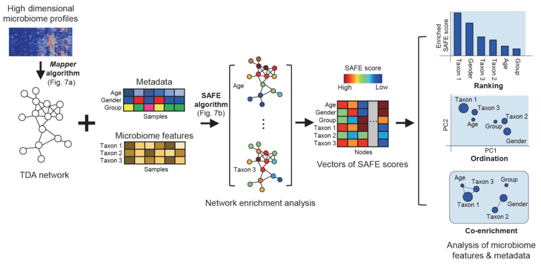 微生物组数据挖掘,微生物组数据挖掘新方法