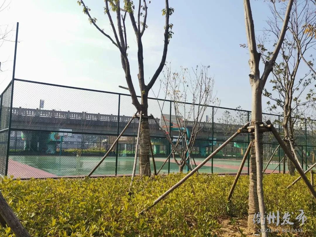 好消息！春节假期，衢州20个市民健身驿站、全民健身中心部分场馆，免费开放~