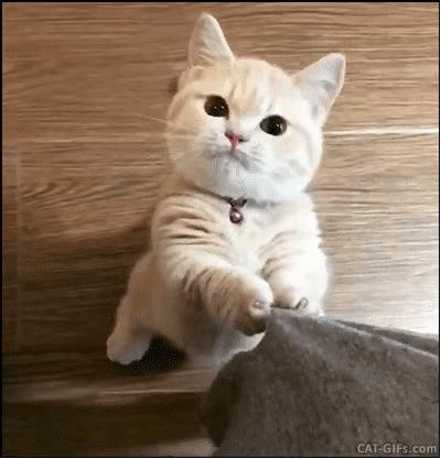 逃离塔科夫最大口径的步枪,逃离塔科夫弹鼓精确射手步枪