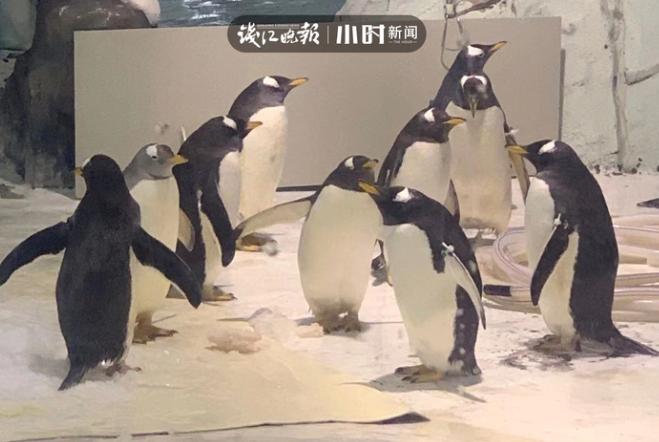 年味扩散到全世界,年味在空气中弥漫