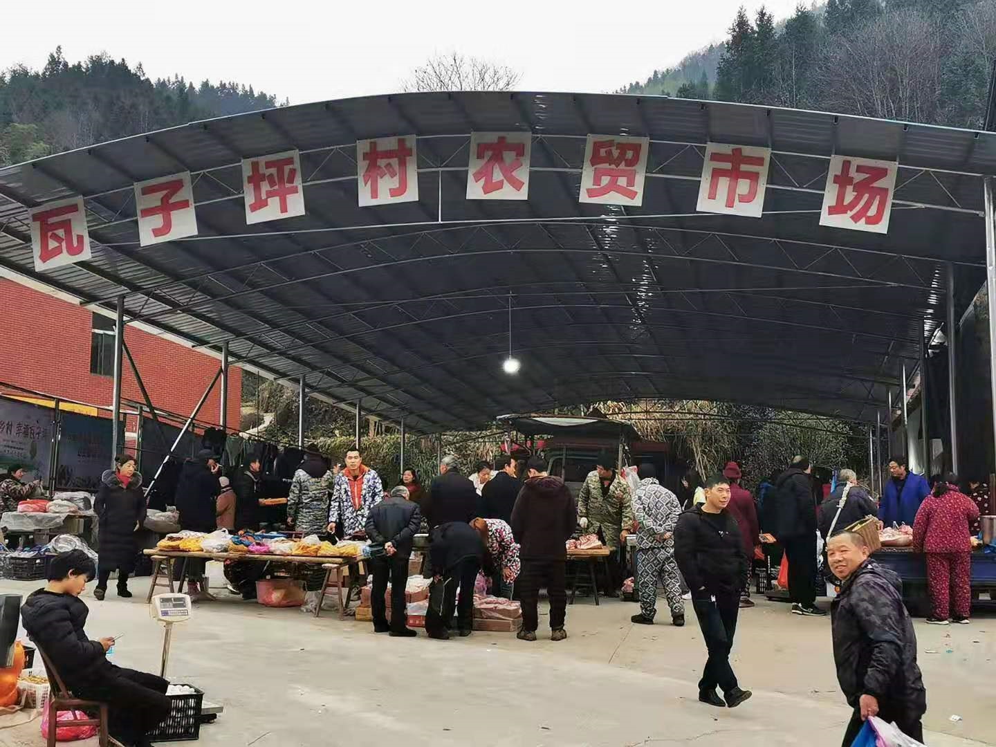 新春走基层儿科医生,新春走基层系列报道