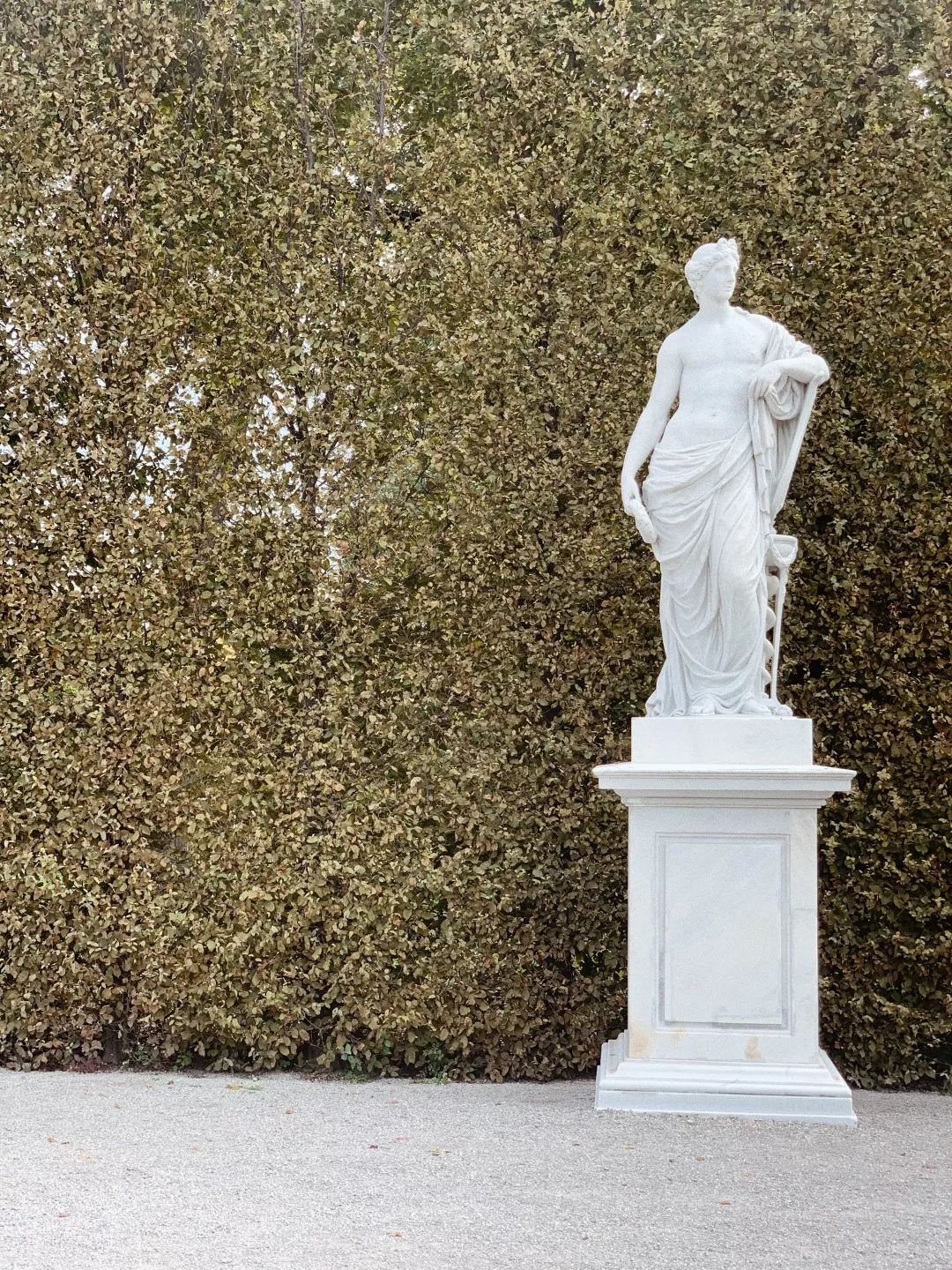 维也纳的十大特点,维也纳十首最好的诗