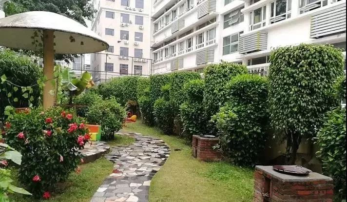 龙岗新生社区有几所公办幼儿园,龙岗公办幼儿园有哪些