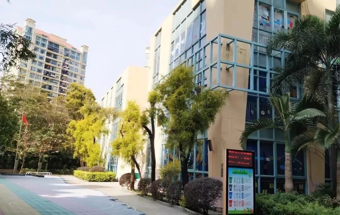 龙岗新生社区有几所公办幼儿园,龙岗公办幼儿园有哪些