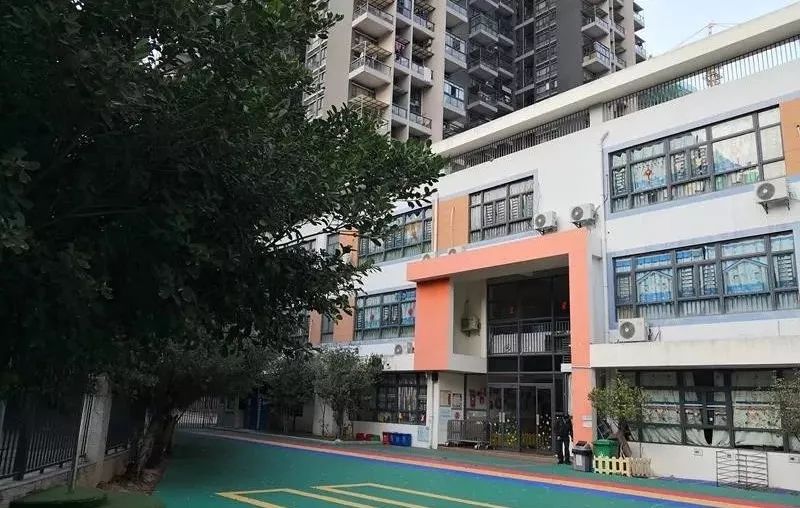 龙岗新生社区有几所公办幼儿园,龙岗公办幼儿园有哪些