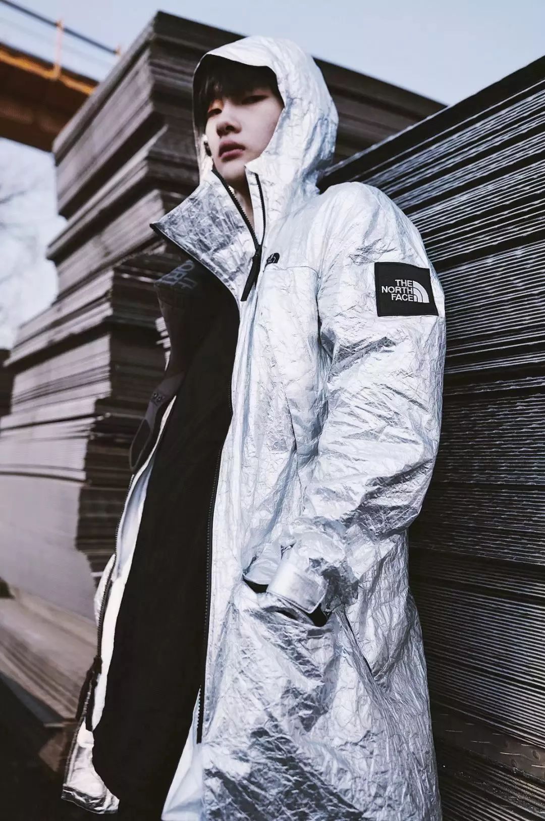 看到周震南的激动,周震南哪一期被狮子吓