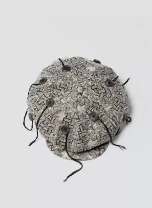 看到周震南的激动,周震南哪一期被狮子吓