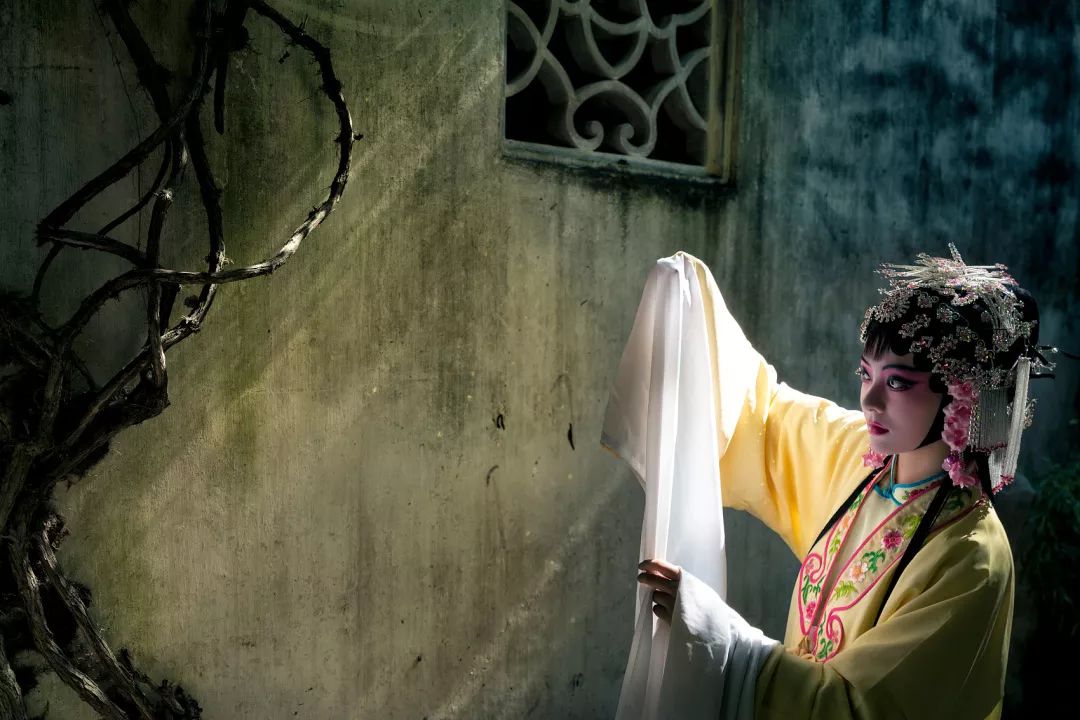 南国的两面:江南vs岭南