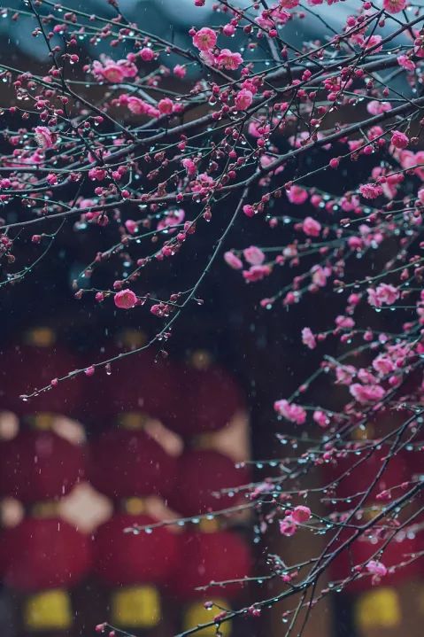 南国的两面:江南vs岭南