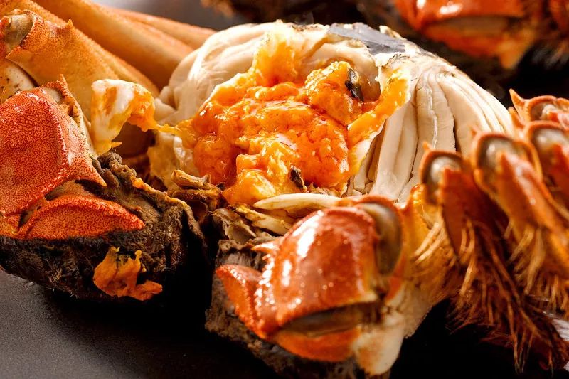 南国的两面:江南vs岭南