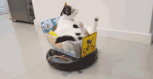 “这一年我卖闲置的钱，比我挣得都多”