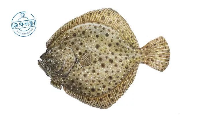 这个春节一定要吃的美食,春节吃什么海鲜好吃又便宜