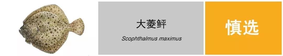 这个春节一定要吃的美食,春节吃什么海鲜好吃又便宜