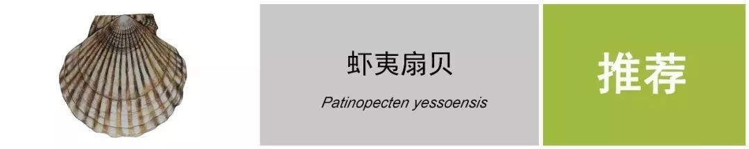 这个春节一定要吃的美食,春节吃什么海鲜好吃又便宜