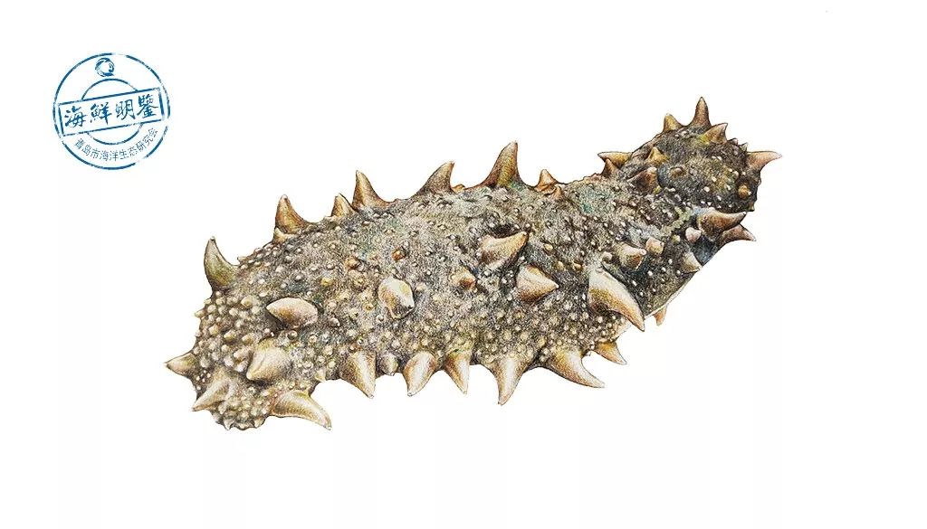 这个春节一定要吃的美食,春节吃什么海鲜好吃又便宜