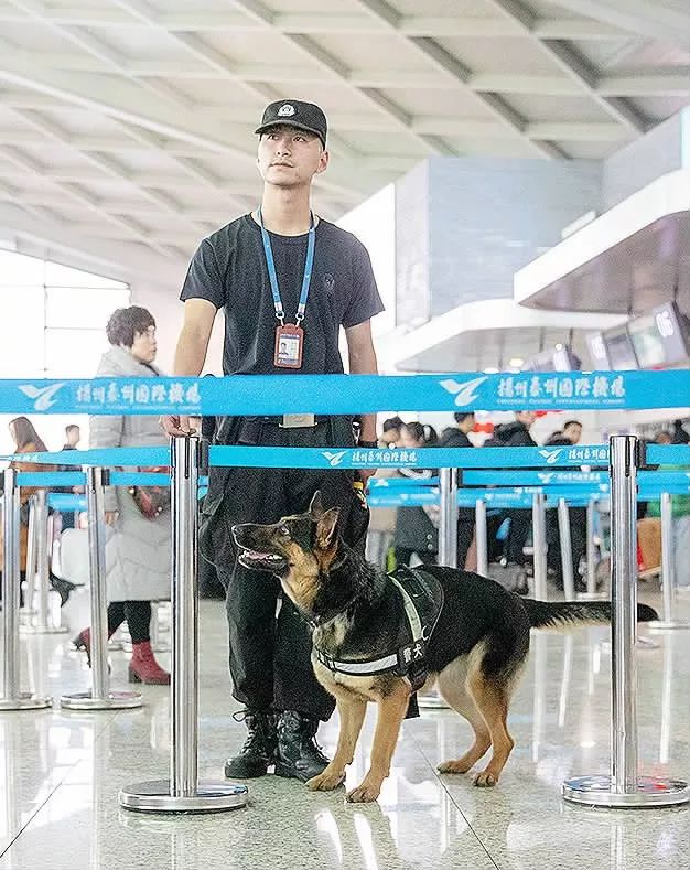 读报直播,读报2020