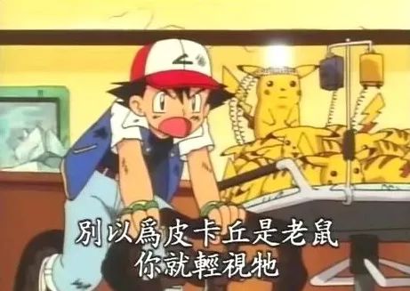 关于鼠的正确认识,鼠的冷知识