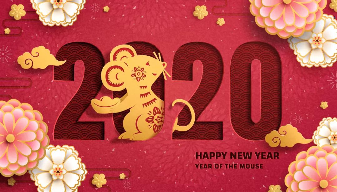 关于鼠的正确认识,鼠的冷知识