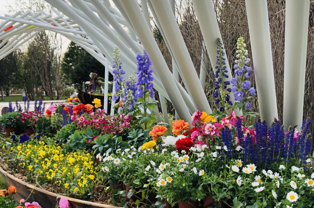 致广大尽精微方可成事,致广大而尽精微的视频