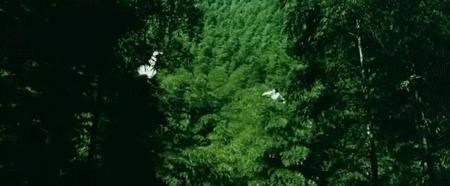 2000-2019，20年20部，最不该缺课的电影,上