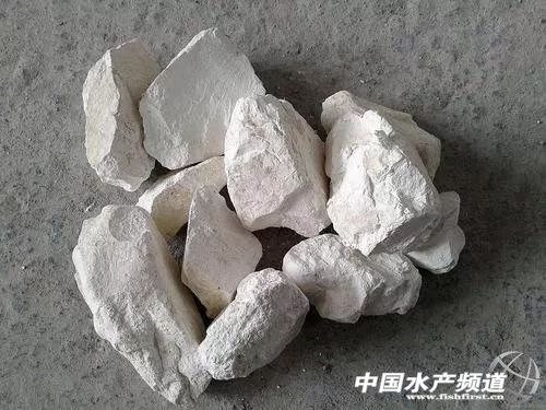 如何高效使用生石灰？90%以上养户却未必懂