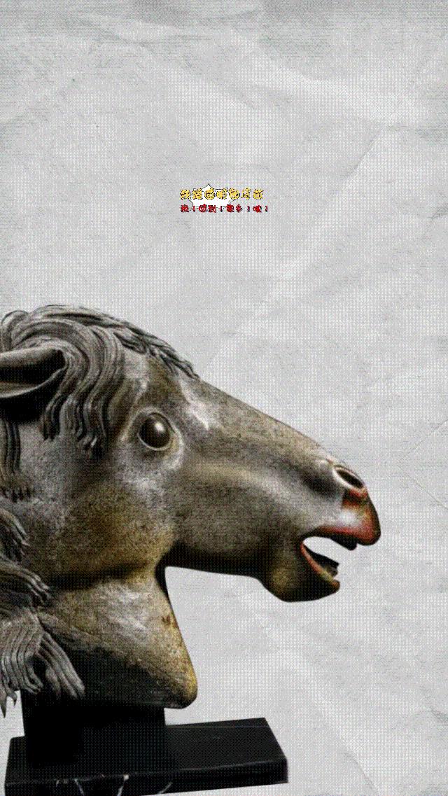 家国同心节目央视网直播,家国同心节目