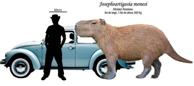 现在最大的巨鼠,史上第一巨鼠体型强壮如牛