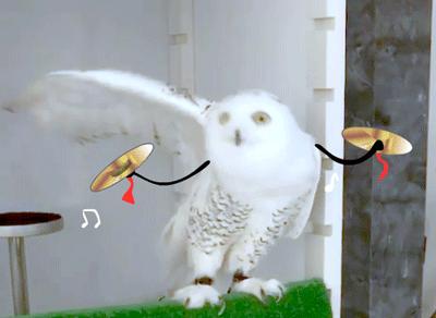 娱乐圈穿假货的艺人,娱乐圈穿大牌地摊货