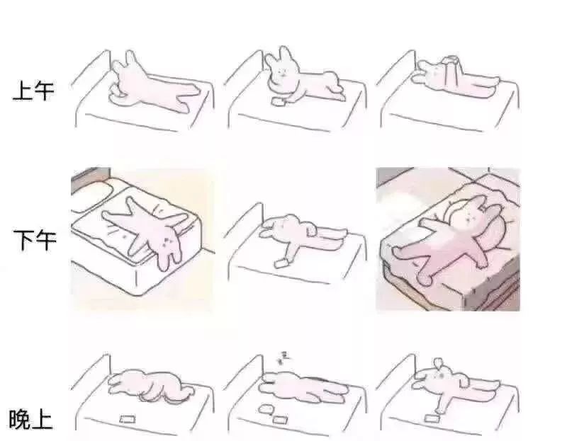 国图官方直播间,国图开放时间官网