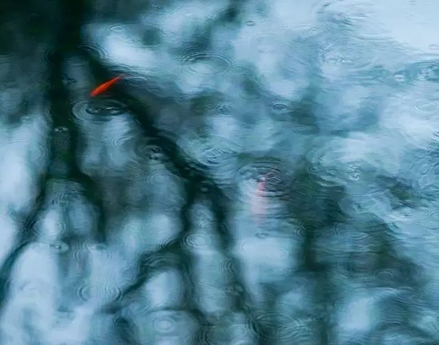 教科书式自我隔离,自我隔离要多少天