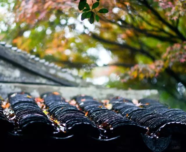 教科书式自我隔离,自我隔离要多少天