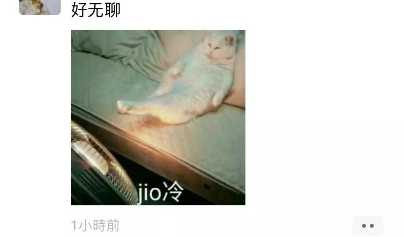 你日日宅喺屋企究竟都做d乜事？