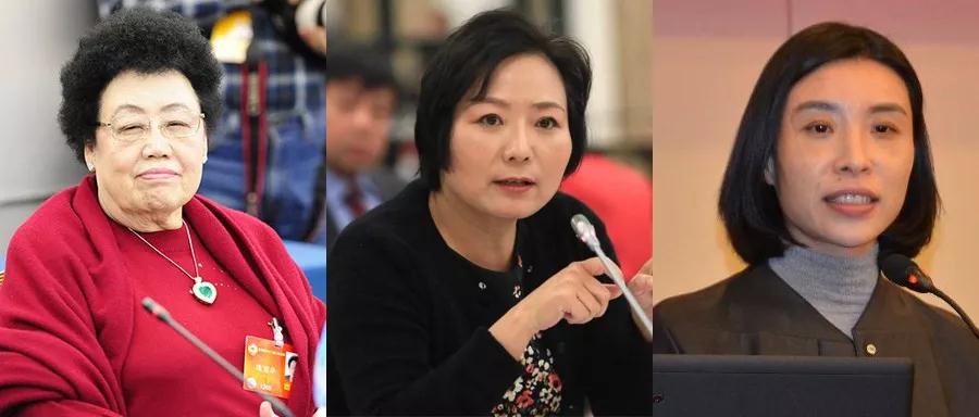 吴亚军与陈丽华,陈丽华女首富纪录片