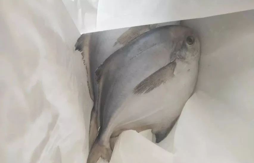 逢车必检逢车必究,逢车必检逢人必测视频