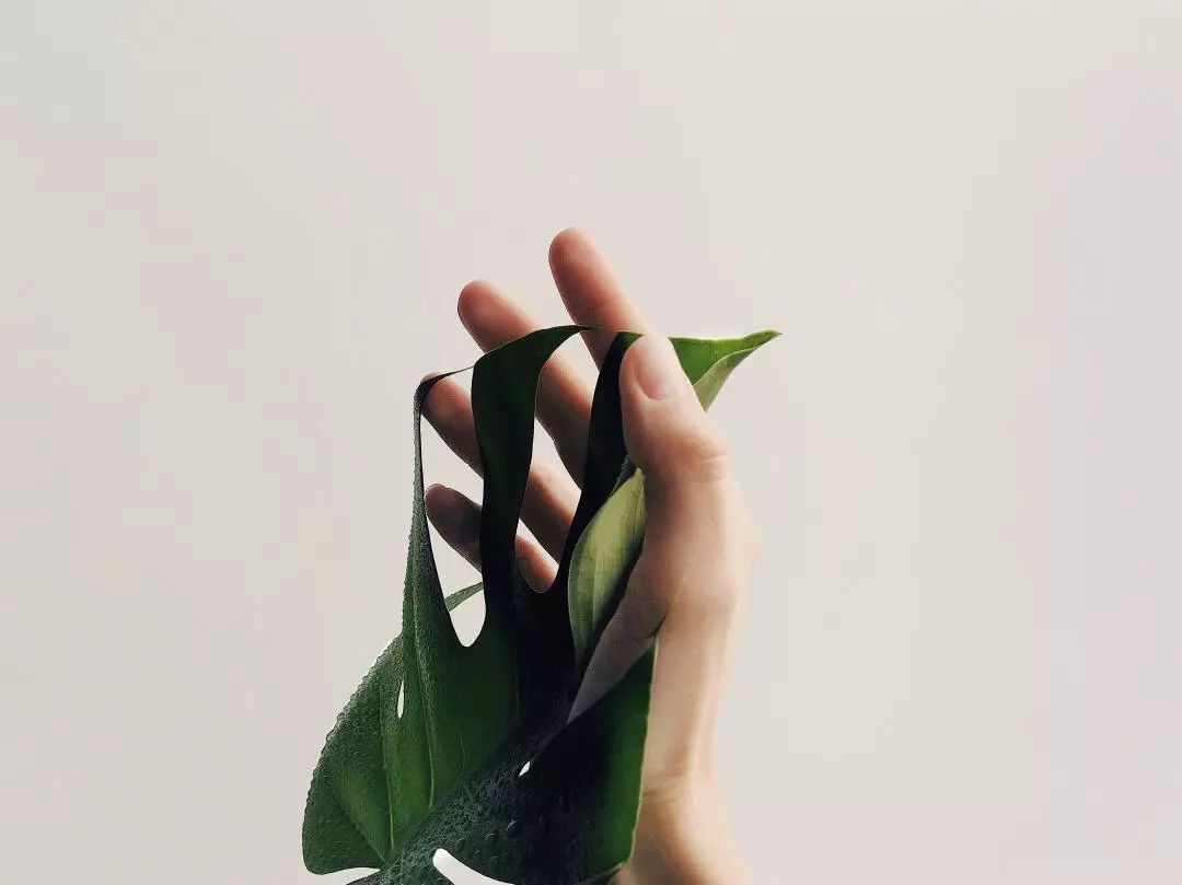 志愿者入户帮残疾人打扫服务活动,跑腿工作地推