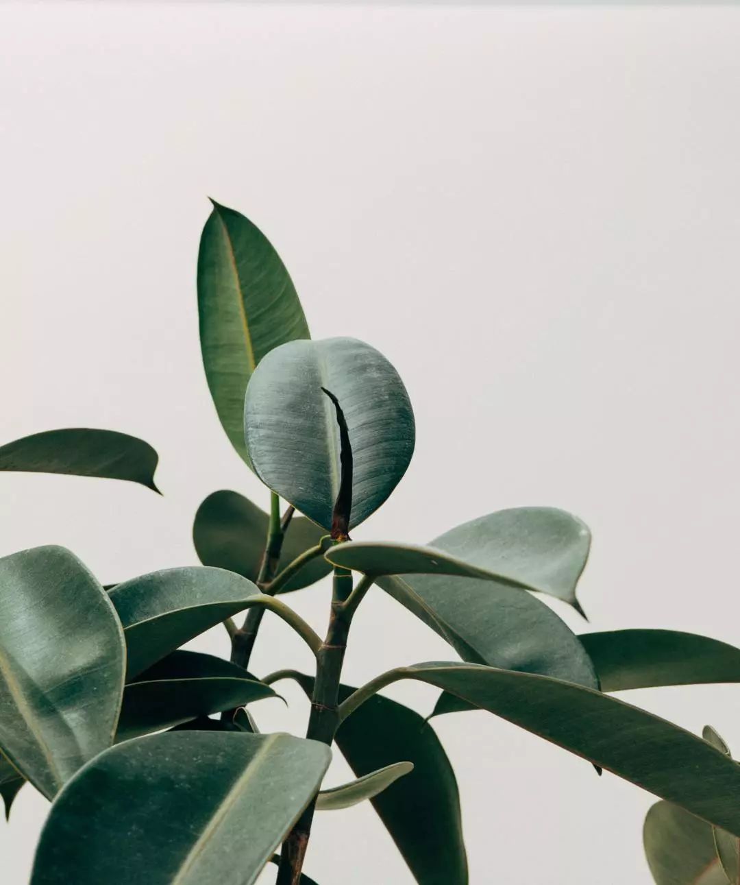 志愿者入户帮残疾人打扫服务活动,跑腿工作地推