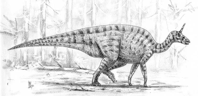 中国最厉害的十大恐龙,恐龙中国第一龙