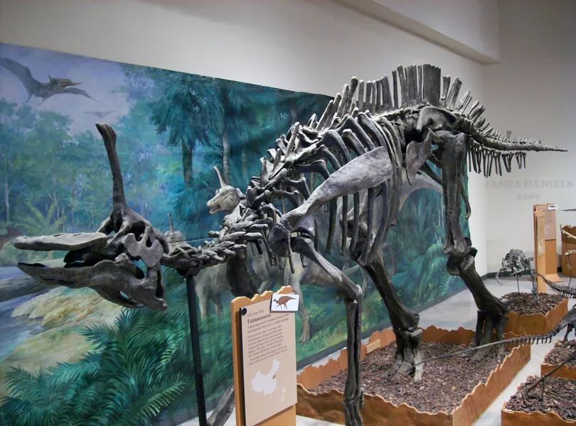 中国最厉害的十大恐龙,恐龙中国第一龙