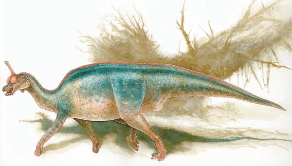 中国最厉害的十大恐龙,恐龙中国第一龙