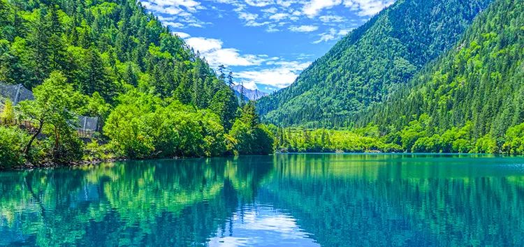 防止细菌感染喷雾,每天喷什么能消毒防感染