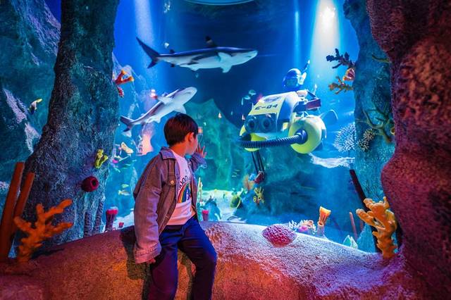 jojo日本名古屋,东京名古屋亲子游玩攻略