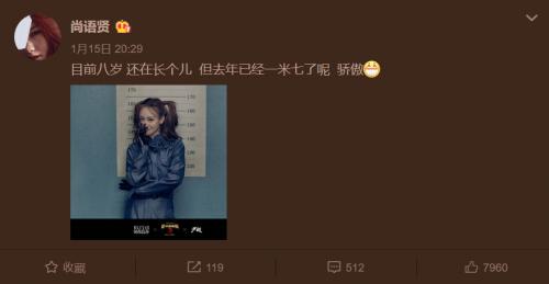 唐人街探案2尚语贤kiko同款手机,尚语贤kiko唐探三